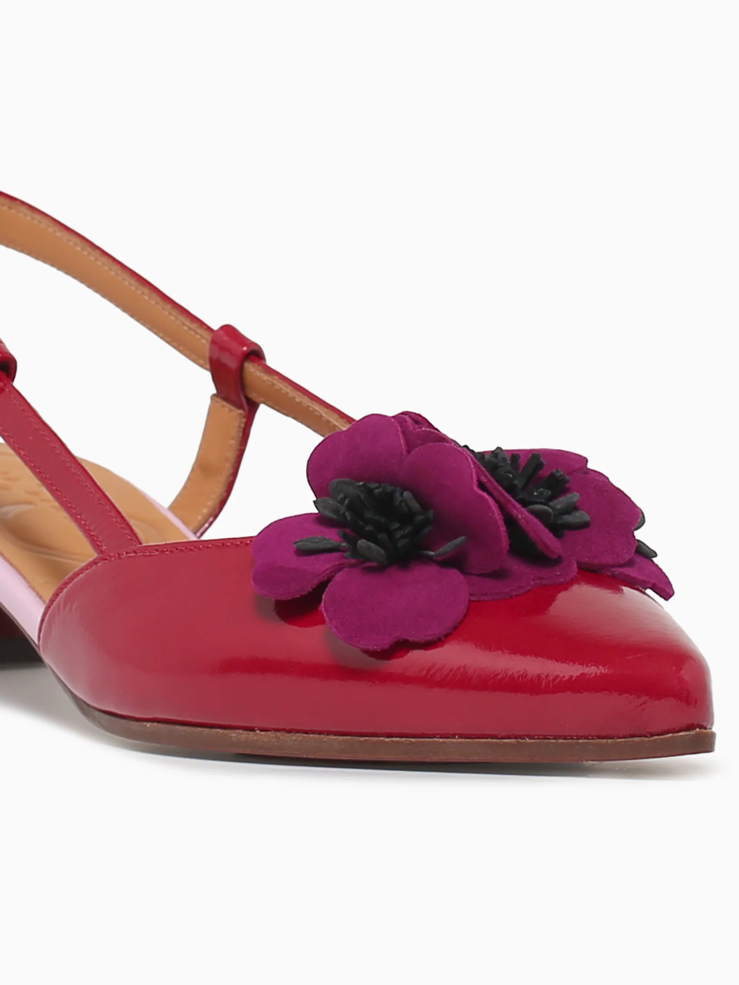 Hazel Rojo Pruna Pink sucre Ante - Image 6