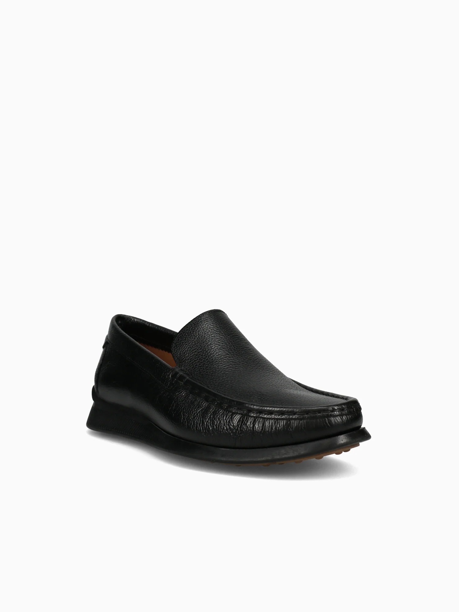Paco Preto Testone - Image 2