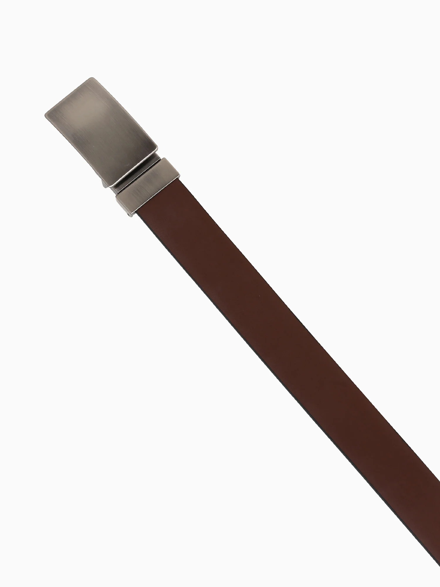 Paradox Preto Pinhao naturalle - Image 3