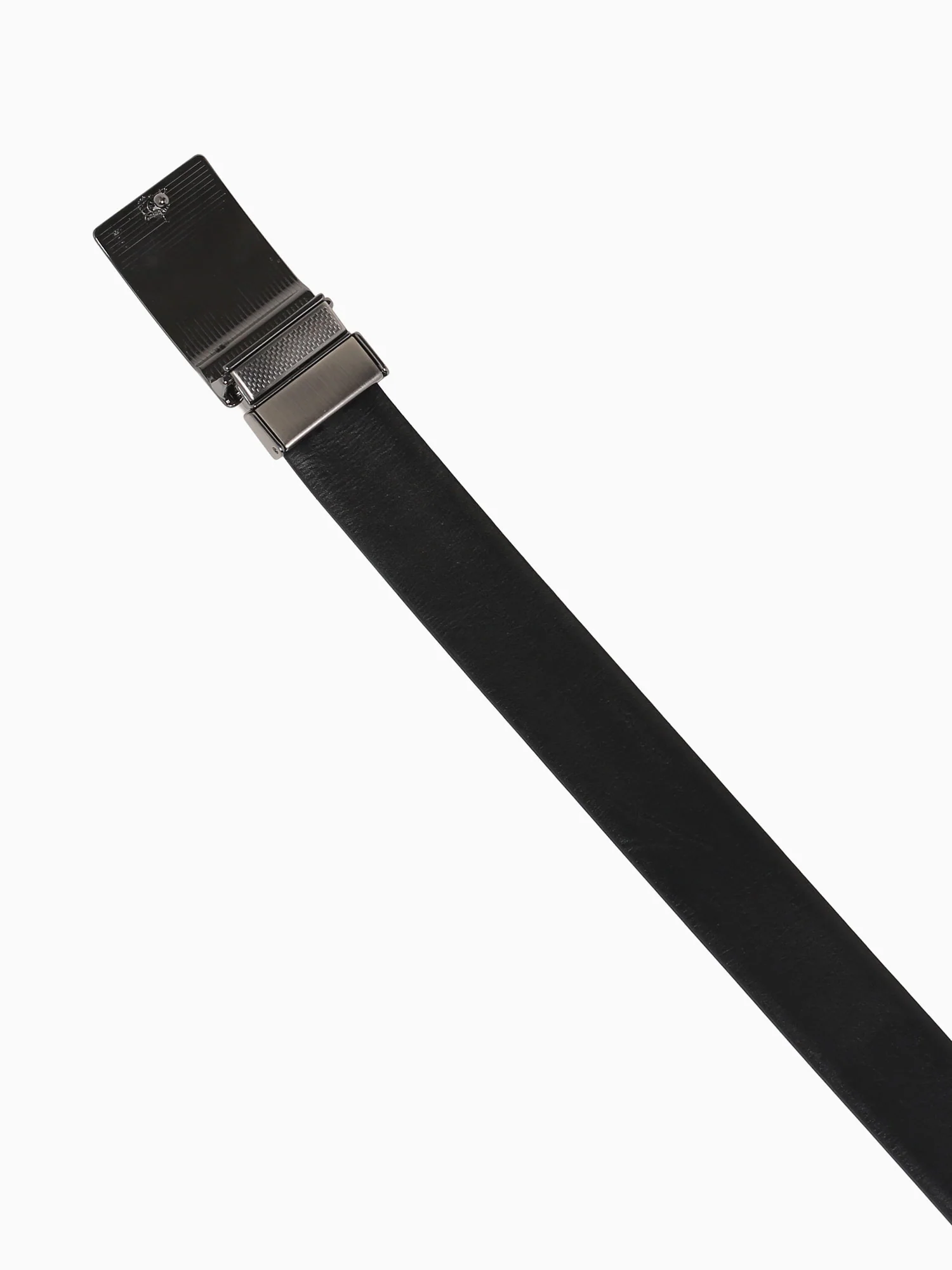Paradox Preto Pinhao naturalle - Image 4