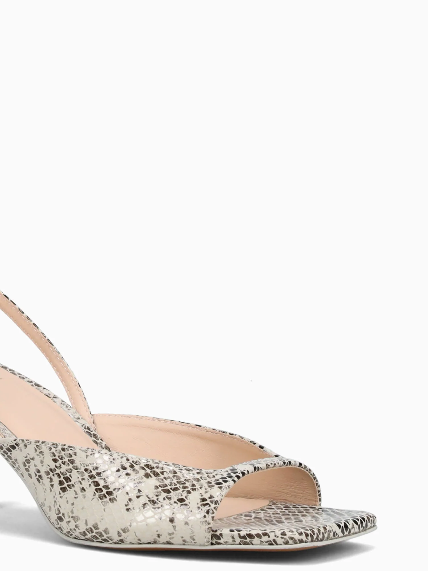 Gabria Bege Nova Snake - Image 6