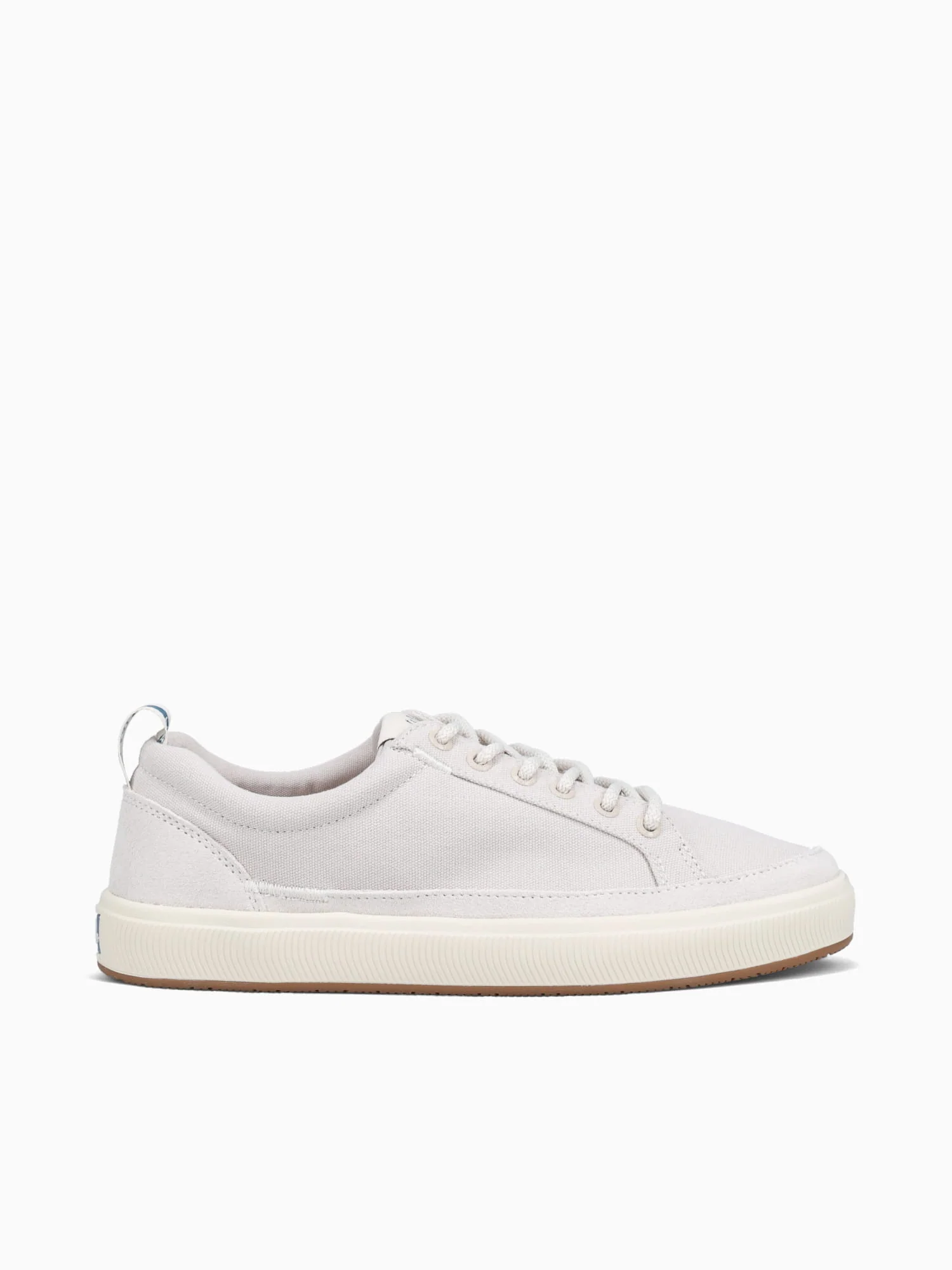 Coast Taupe Canvas