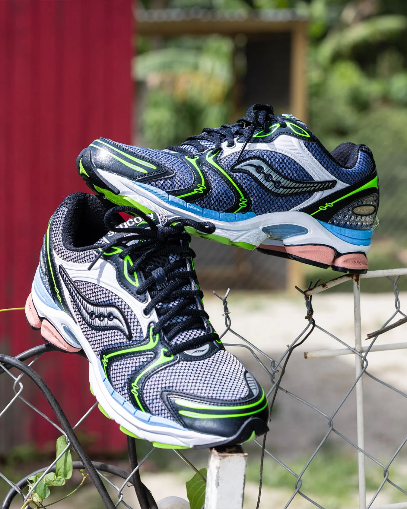 Progrid Triumph 4 Blk Wht Pink mesh - Image 3